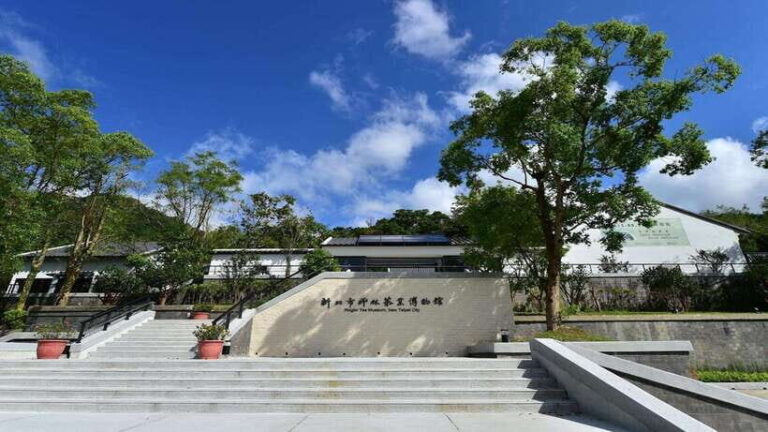 From Taipei: Thousand-Island Lake & Tea Museum Private Tour - Who Is This Tour Best For?