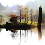 From Taipei to Yilan: Stories of Art, Nature, and Local Life - What You Can Expect in Terms of Logistics and Value