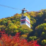 From Takayama: Shinhotaka Ropeway and Kamikochi tour - An In-Depth Look at the Experience