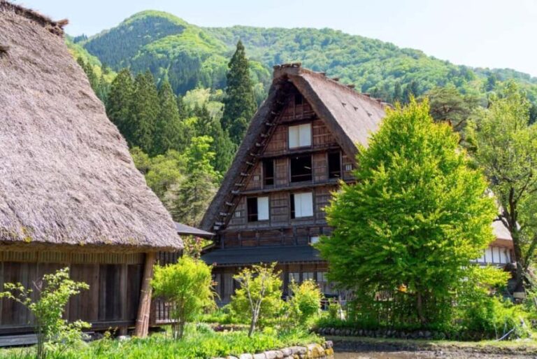 From Takayama: World Heritage Gokayama & Shirakawa-go - The Practicalities and Value