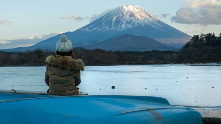 From Tokyo: 1 Full Day Mount fuji Sightseeing Trip - Who Should Consider This Tour?