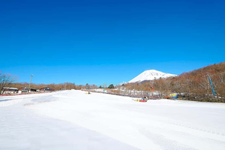 From Tokyo : Fujiyama Snow Resort Yeti Day Tour - Final Thoughts