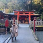 From Tokyo: Hakone Full Day Customizable Private Tour - What’s Included and What You Should Consider