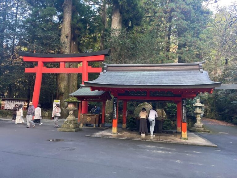 From Tokyo: Hakone Full Day Customizable Private Tour - The Itinerary Breakdown: What to Expect