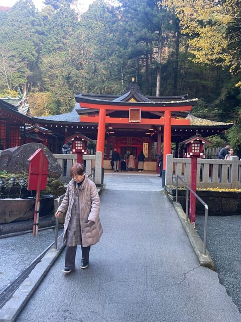 From Tokyo: Hakone Full Day Customizable Private Tour - What’s Included and What You Should Consider