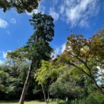 From Tokyo: Kamakura Daibutsu Trail & Tour to Great Buddha - An In-Depth Look at the Kamakura Daibutsu Trail & Tour