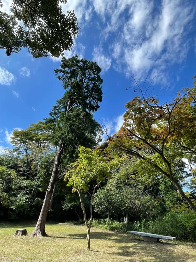 From Tokyo: Kamakura Daibutsu Trail & Tour to Great Buddha - An In-Depth Look at the Kamakura Daibutsu Trail & Tour