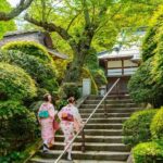 From Tokyo: Kamakura Full Day Private Custom Tour - Practical Aspects and Value