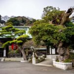 From Tokyo: Kamakura Private Historical & Cultural Day Trip - Detailed Review of the Kamakura Private Day Trip