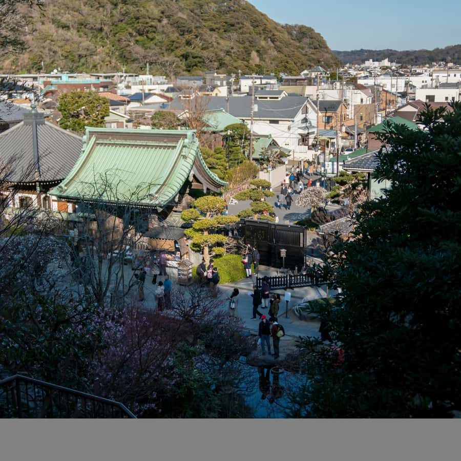 From Tokyo: Kamakura Private Historical & Cultural Day Trip - Exploring Kamakura’s Cultural Landmarks