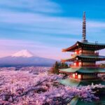 From Tokyo: Mount Fuji and Hakone Customizable Private Tour - What to Expect: Practical Details
