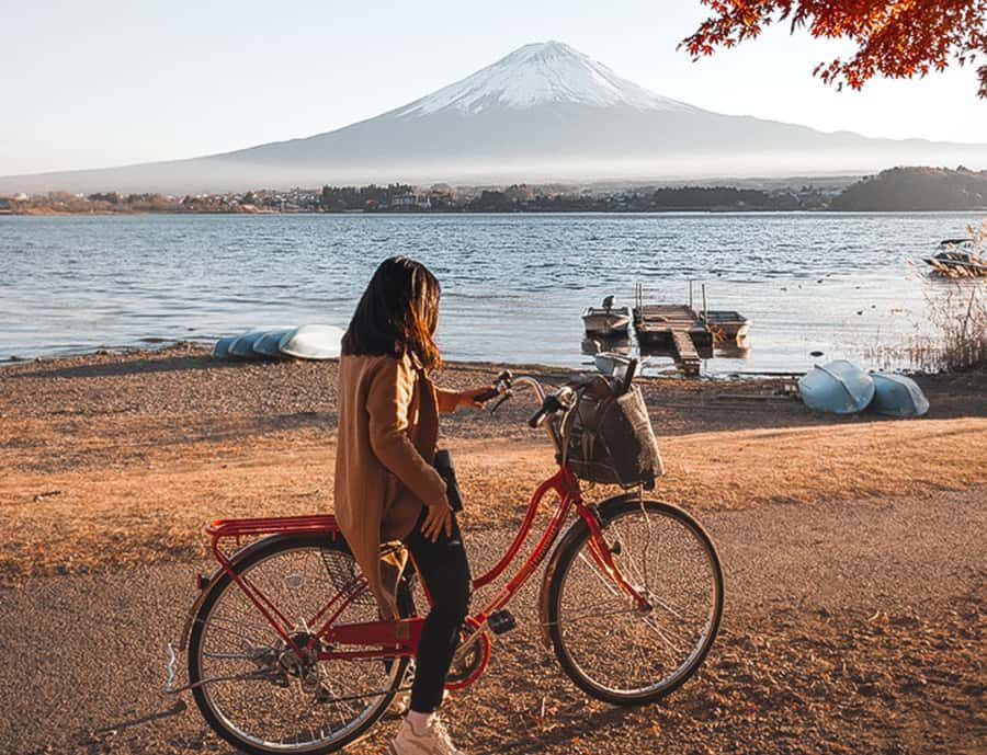 From Tokyo: Mount Fuji and Hakone Customizable Private Tour - Why This Tour Stands Out
