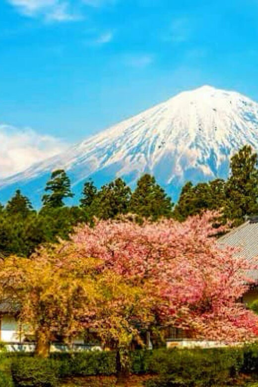 From Tokyo: Mount Fuji And Hakone Private Full Day Trip - Optional Adventures: Customizing Your Experience