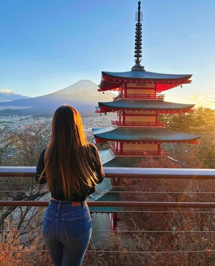 From Tokyo: Mount Fuji Customizable Guided Full Day Tour - Transportation and Logistics