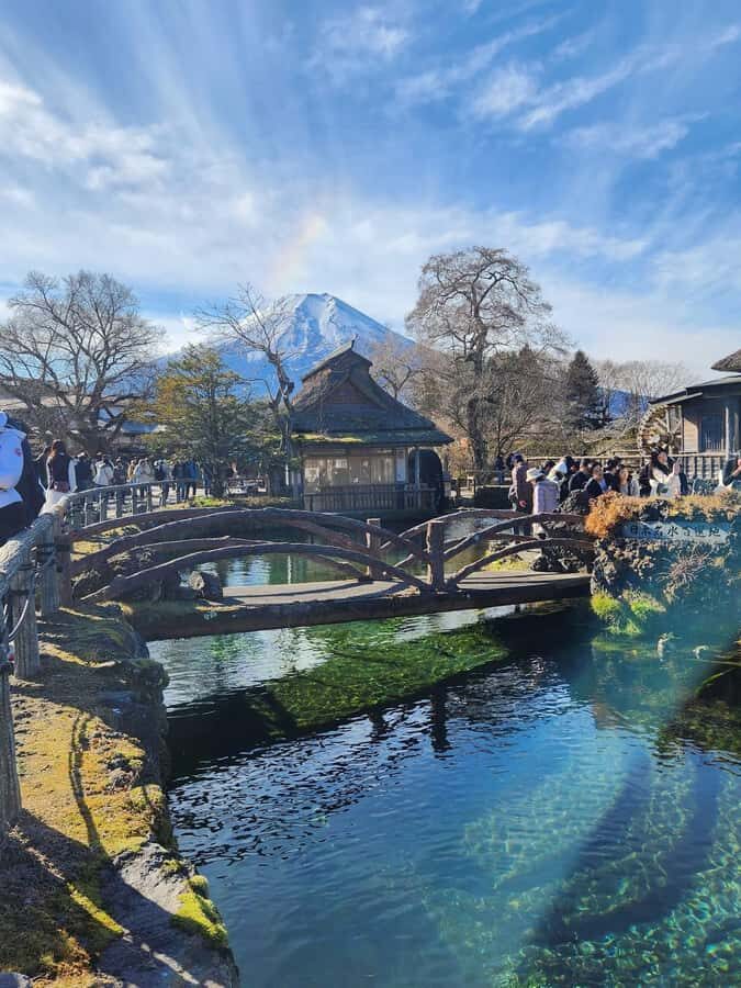 From Tokyo: Mount Fuji Customizable Guided Private Tour - Transport and Logistics