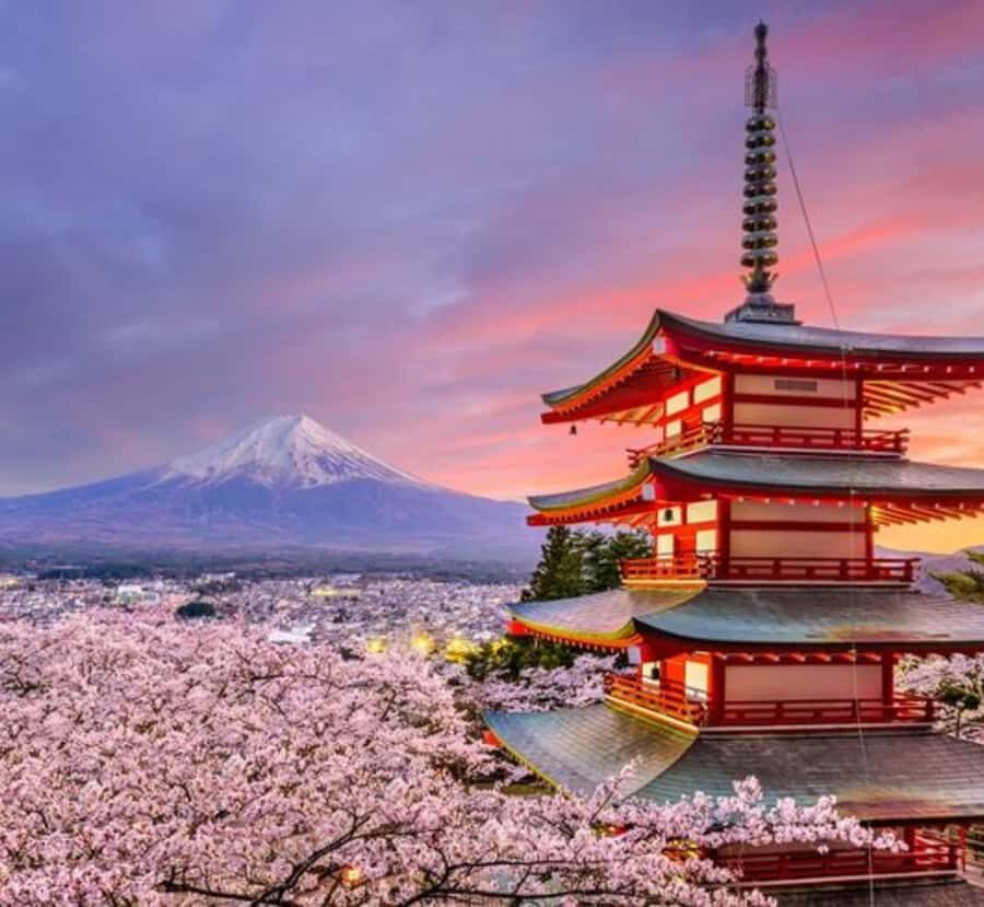 From Tokyo: Mount Fuji Customizable Private Tour with Driver - The Ultimate Guide to the Mount Fuji Private Tour