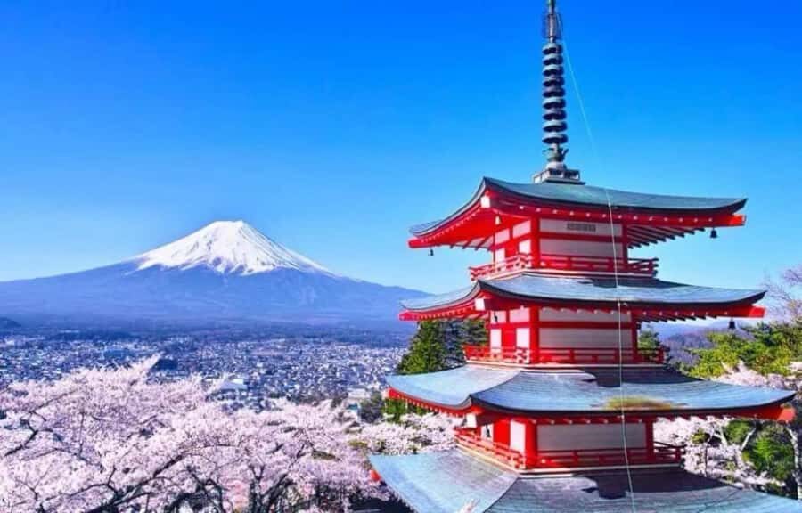 From Tokyo: Mount Fuji Customized Tour With Guide - What Makes This Tour Stand Out