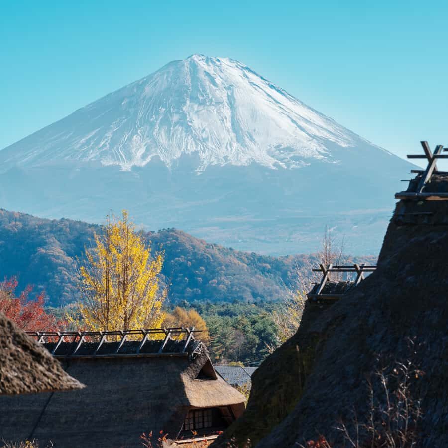 From Tokyo: Mount Fuji Five Lakes Private Full Day Tour - Introduction: What Makes This Tour Stand Out?
