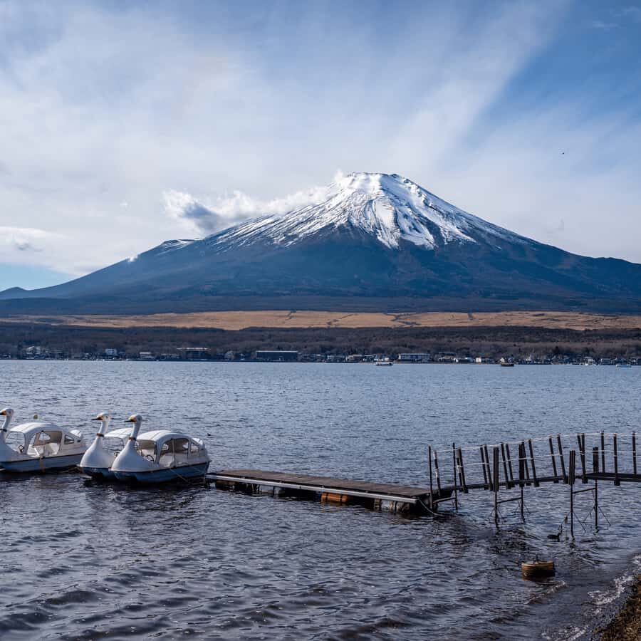 From Tokyo: Mount Fuji Five Lakes Private Full Day Tour - How the Itinerary Comes to Life
