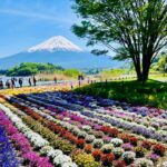 From Tokyo: Mount Fuji Full Day Customizable Private Tour - Who Is This Tour Best For?