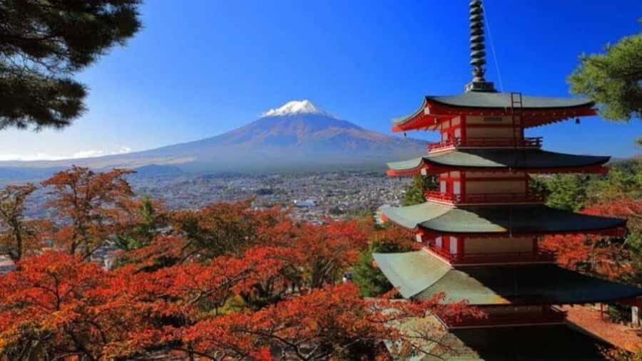 From Tokyo: Mount Fuji Full Day Customizable Tour With Guide - FAQ
