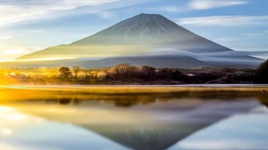 From Tokyo: Mount Fuji Full Day Customized Private Tour - Why This Tour Offers Excellent Value