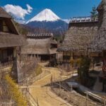 From Tokyo: Mount Fuji Full-Day Customized Tour with Guide - Why This Tour Works for Different Travelers