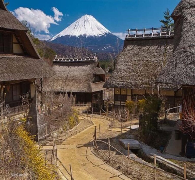 From Tokyo: Mount Fuji Full-Day Customized Tour with Guide - Why This Tour Works for Different Travelers
