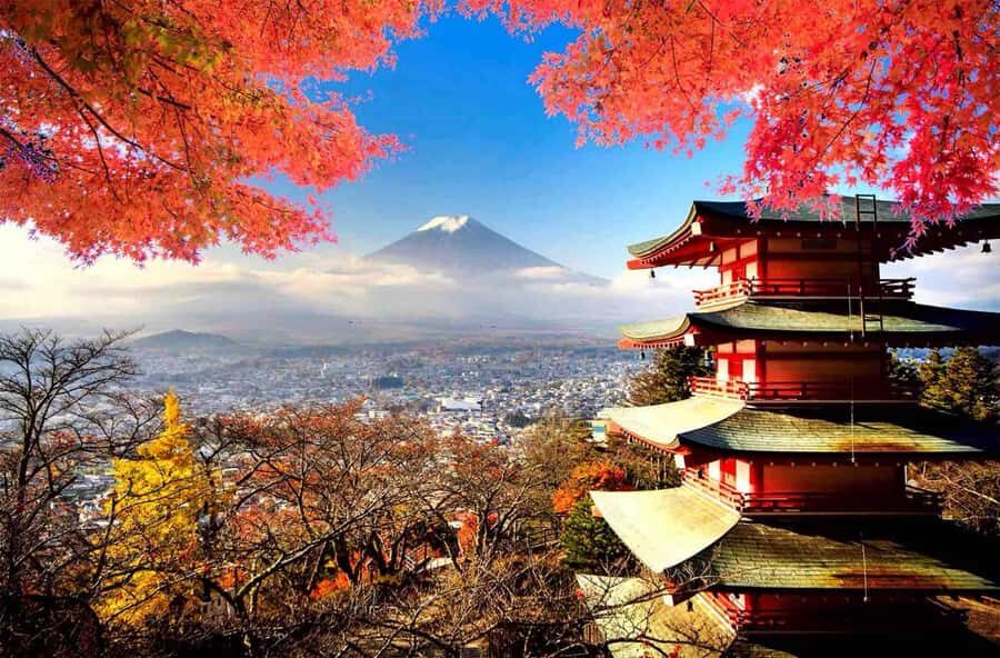 From Tokyo: Mount Fuji Full Day Private & Customizable Tour - Final Thoughts