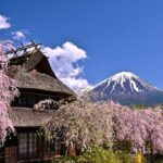 From Tokyo Mount Fuji Full Day Shared Tour - What the Tour Includes and Why It Matters