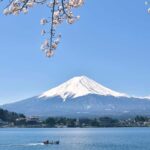 From Tokyo: Mount Fuji & Hakone Full Day Private Tour - Practical Details: What You Need to Know