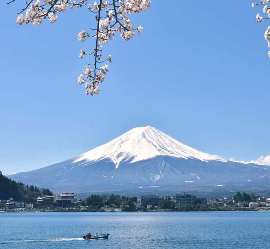 From Tokyo: Mount Fuji & Hakone Full Day Private Tour - Practical Details: What You Need to Know