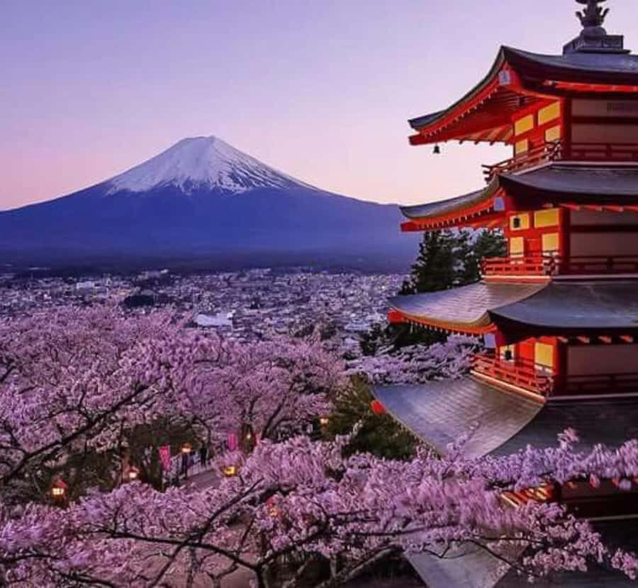 From Tokyo: Mount Fuji & Hakone Private Customizable Tour - An In-Depth Look at the Itinerary