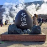 From Tokyo: Mount Fuji & Hakone Private Customizable Tour - Why This Tour Stands Out