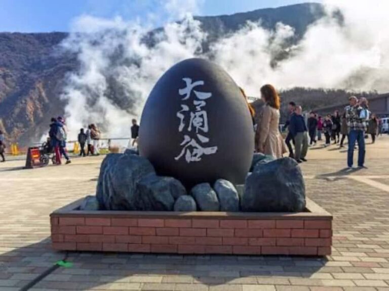 From Tokyo: Mount Fuji & Hakone Private Customizable Tour - Why This Tour Stands Out