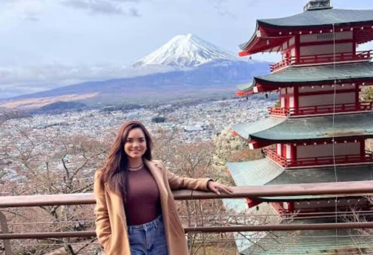 From Tokyo : Mount Fuji & Hakone Private Tour With Guide - The Practicalities: What You Need to Know