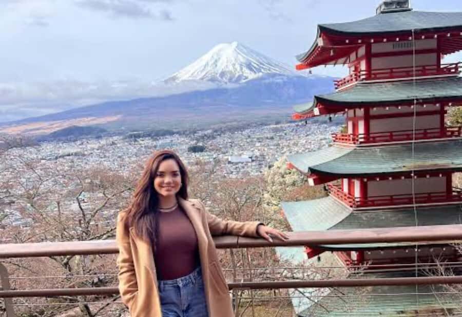 From Tokyo : Mount Fuji & Hakone Private Tour With Guide - The Practicalities: What You Need to Know