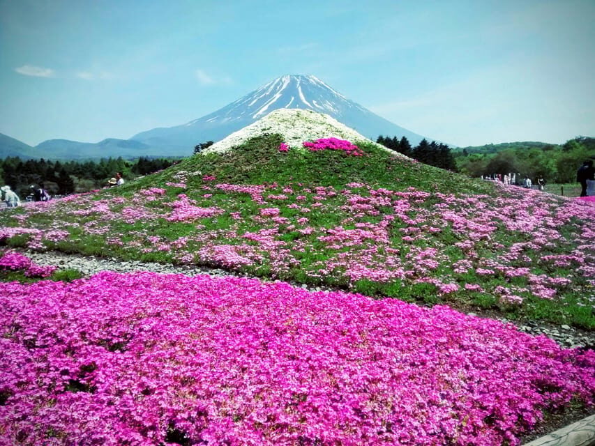 From Tokyo: Mount Fuji Instagram Spots 1-Day Private Tour - Detailed Breakdown of the Itinerary