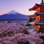 From Tokyo: Mount Fuji Private Customizable Full-Day Tour - What the Tour Offers: An Overview