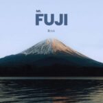 From Tokyo Mount Fuji Private Customizable Tour with Guide - Who Should Consider This Tour?