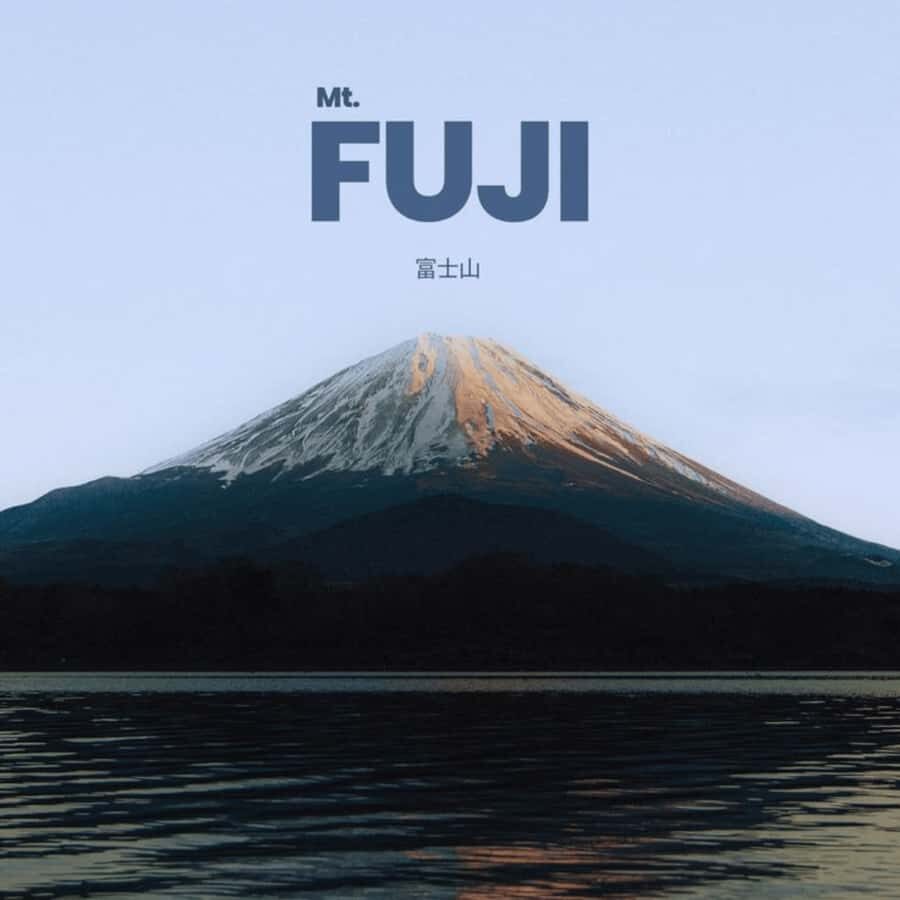 From Tokyo Mount Fuji Private Customizable Tour with Guide - Who Should Consider This Tour?