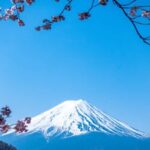 From Tokyo: Mount Fuji Private Customized Tour English Guide - What Makes This Tour Stand Out?