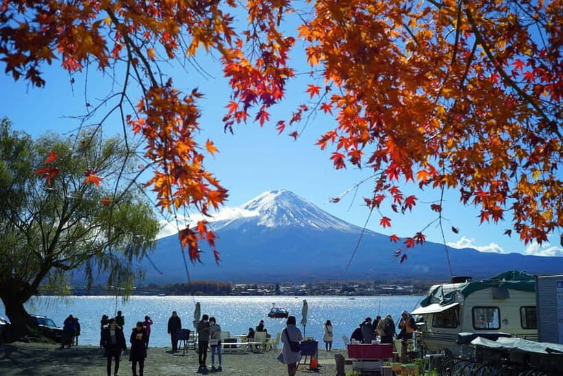 From Tokyo: Mount Fuji Private Day Tour Fully Customizable - The Full Experience: What to Expect on This Tour
