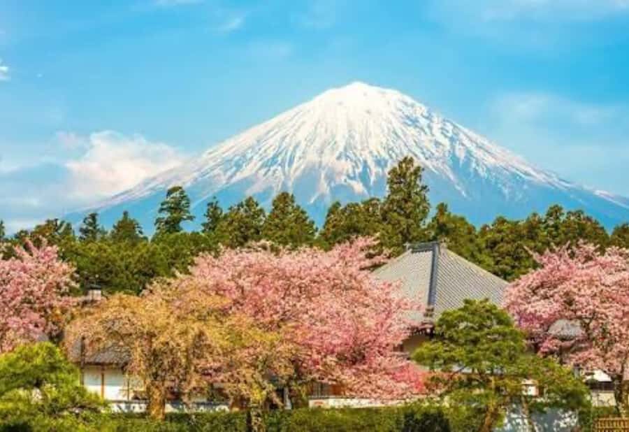 From Tokyo: Mount Fuji Private Day Tour With English Guide - What to Expect: Logistics & Practicalities
