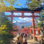 From Tokyo: Mount Fuji Private Day Trip with Pickup - What Makes This Tour Stand Out