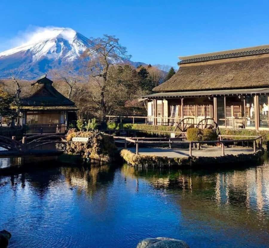 From Tokyo: Mount Fuji Private Tour with English Guide - What You Can Expect from the Tour