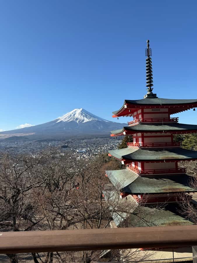 From Tokyo : Mount Fuji Private Tour with English Guide - The Practicalities: What You Need to Know