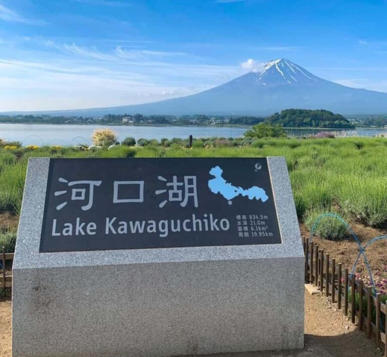 From Tokyo: Mount Fuji Private Tour with English Guide - An In-Depth Look at the Experience