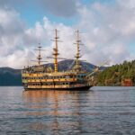 From Tokyo: Mount Fuji Private Tour with Professional Guide - Practical Aspects of the Tour