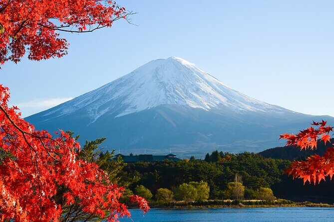 From Tokyo: Mount Fuji Sightseeing Full Day Trip - Authentic Insights from Past Guests
